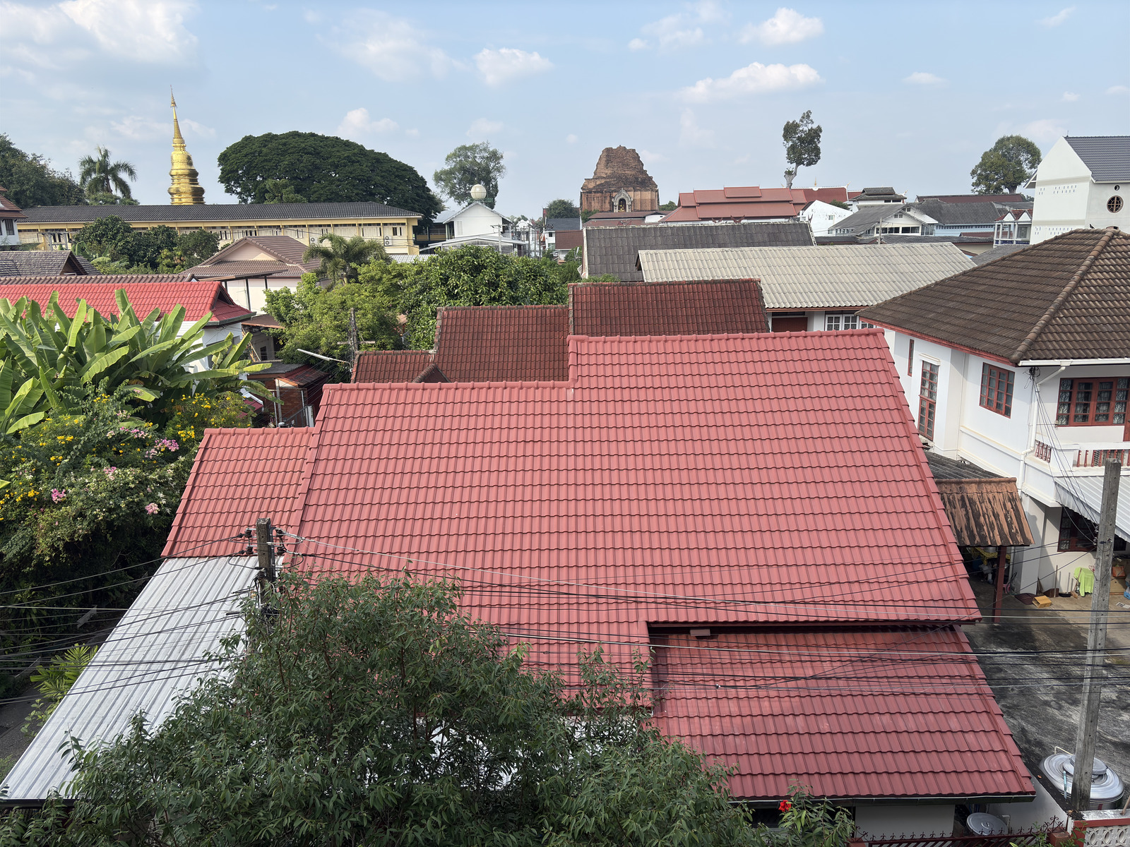 Picture Thailand Chiang Mai Kalm 2024-12 89 - Pictures Kalm