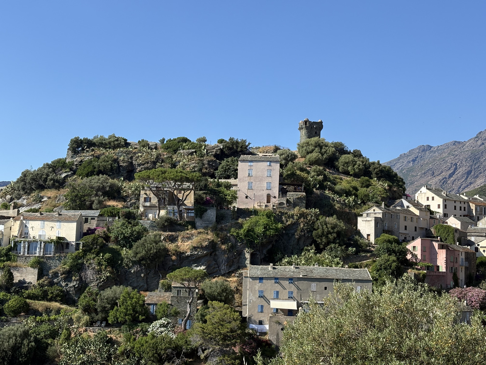 Picture France Corsica Nonza 2025-06 42 - Picture Nonza