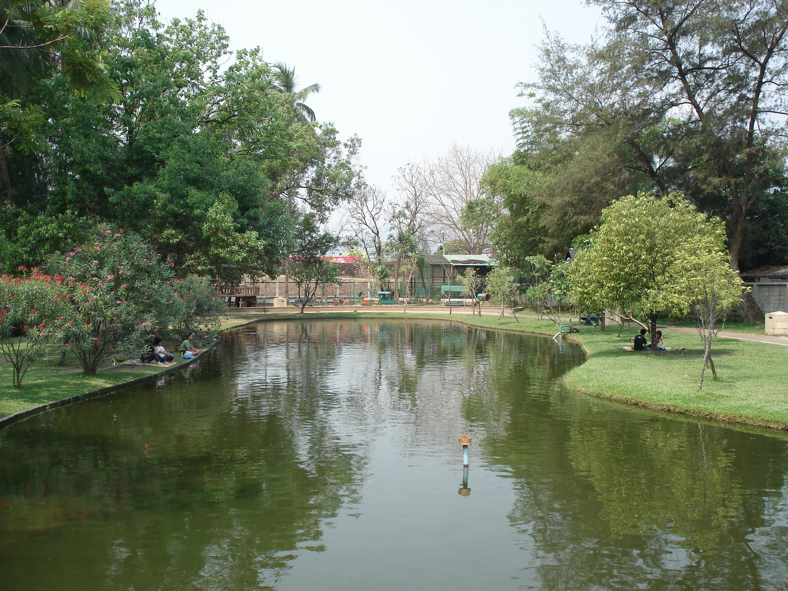Picture Thailand Chiang Mai Inside Canal Buak Had Park 2006-04 20 - Store Buak Had Park