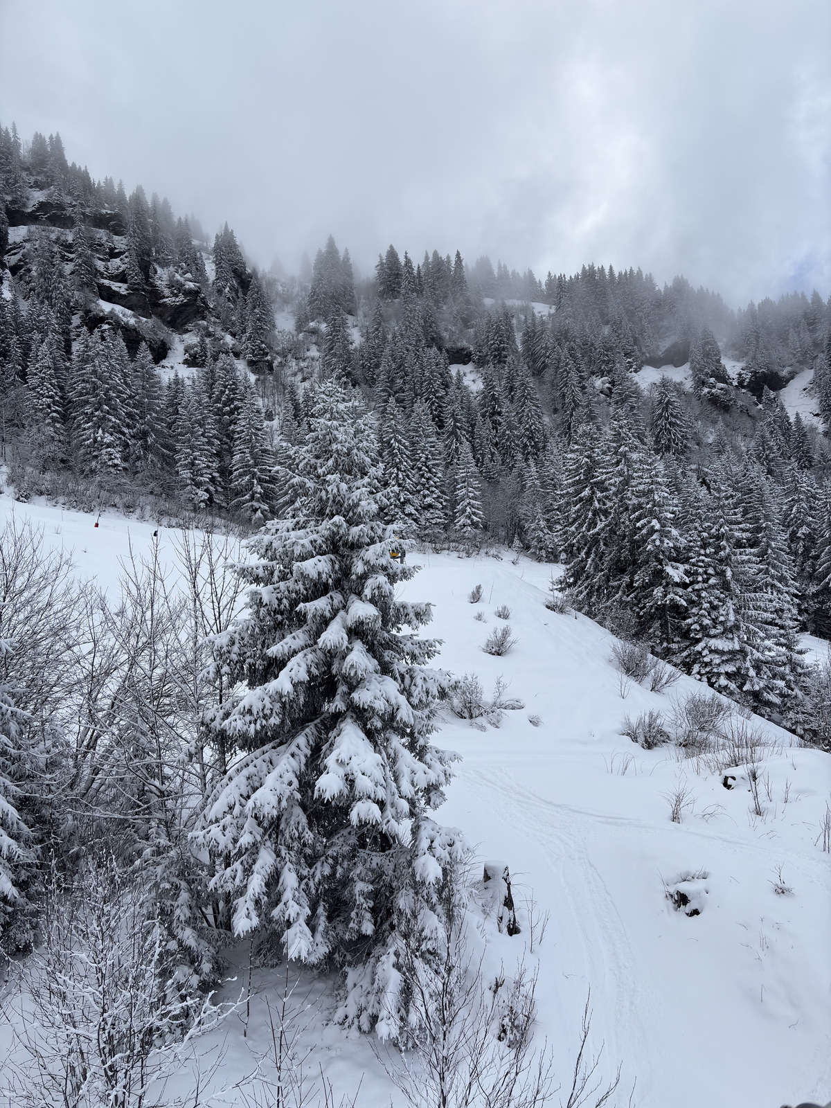 Picture France Praz sur Arly 2025-02 55 - Car Praz sur Arly