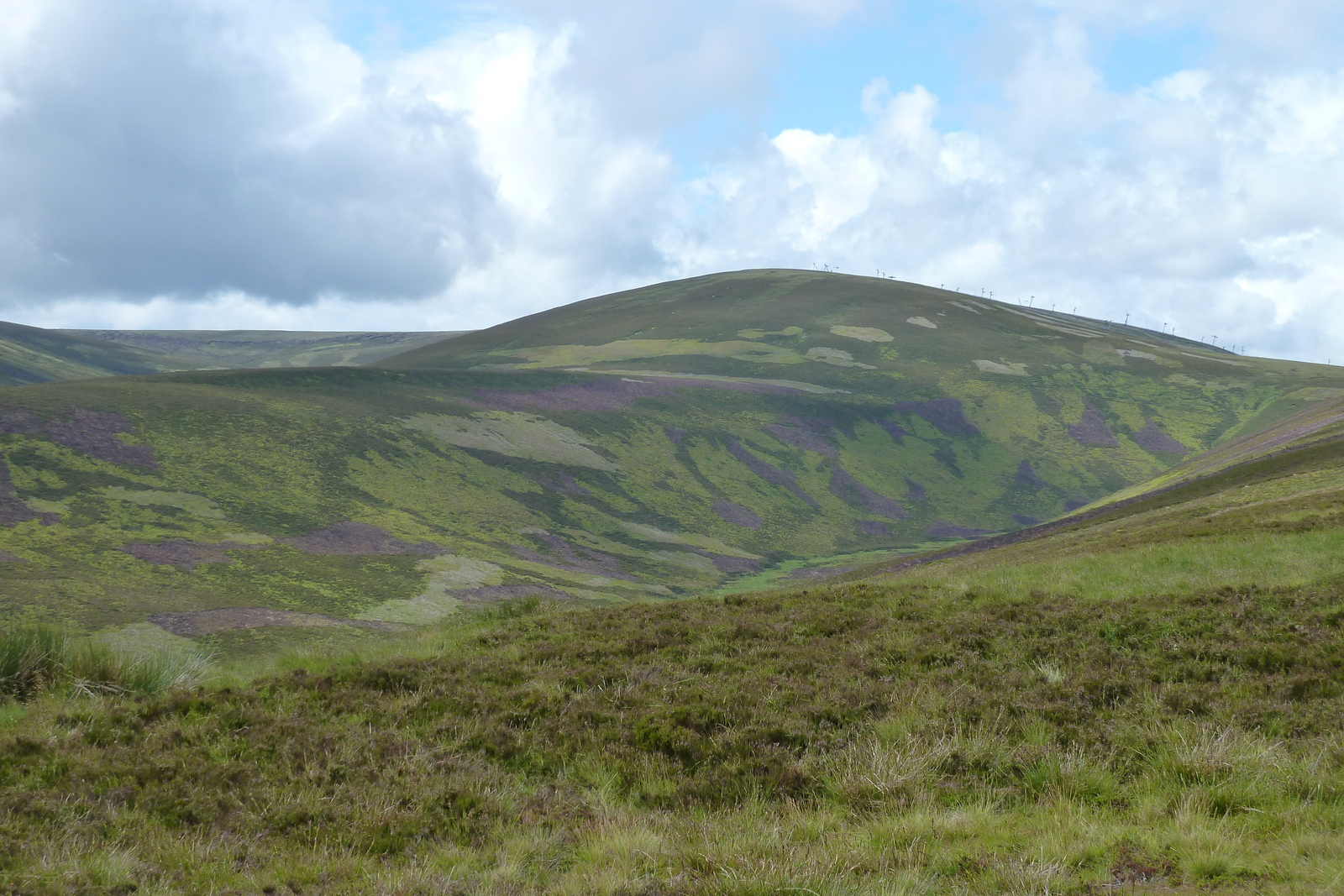 Picture United Kingdom Cairngorms National Park 2011-07 143 - View Cairngorms National Park