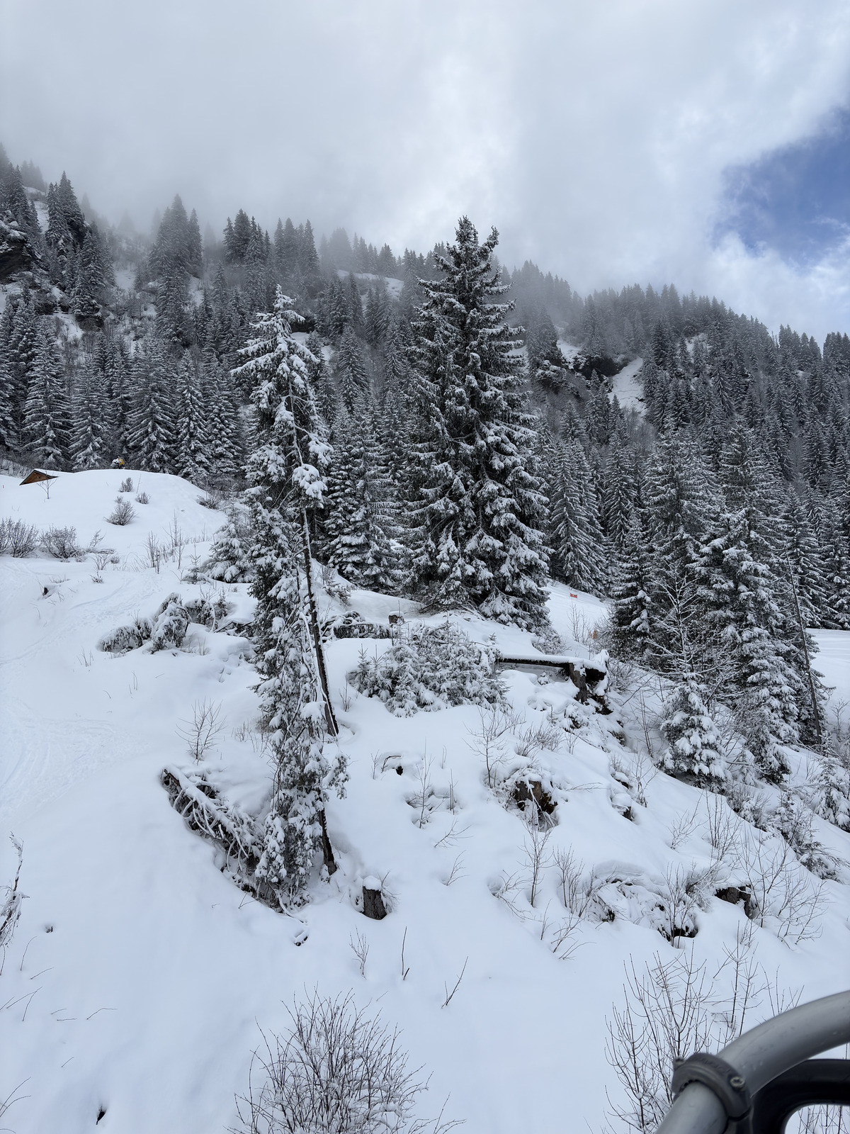 Picture France Praz sur Arly 2025-02 94 - Sight Praz sur Arly