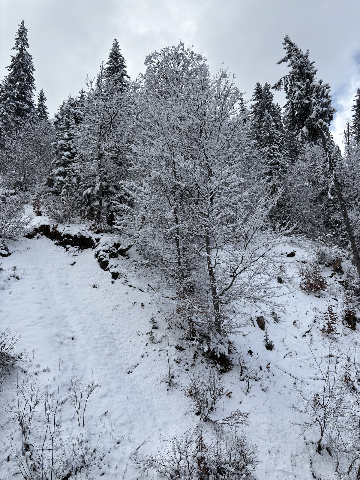 Picture France Praz sur Arly 2025-02 14 - Tourist Praz sur Arly