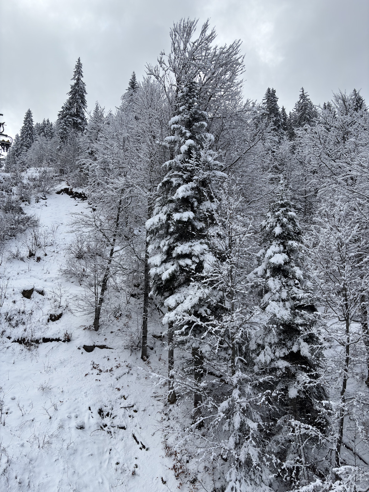 Picture France Praz sur Arly 2025-02 6 - Photos Praz sur Arly