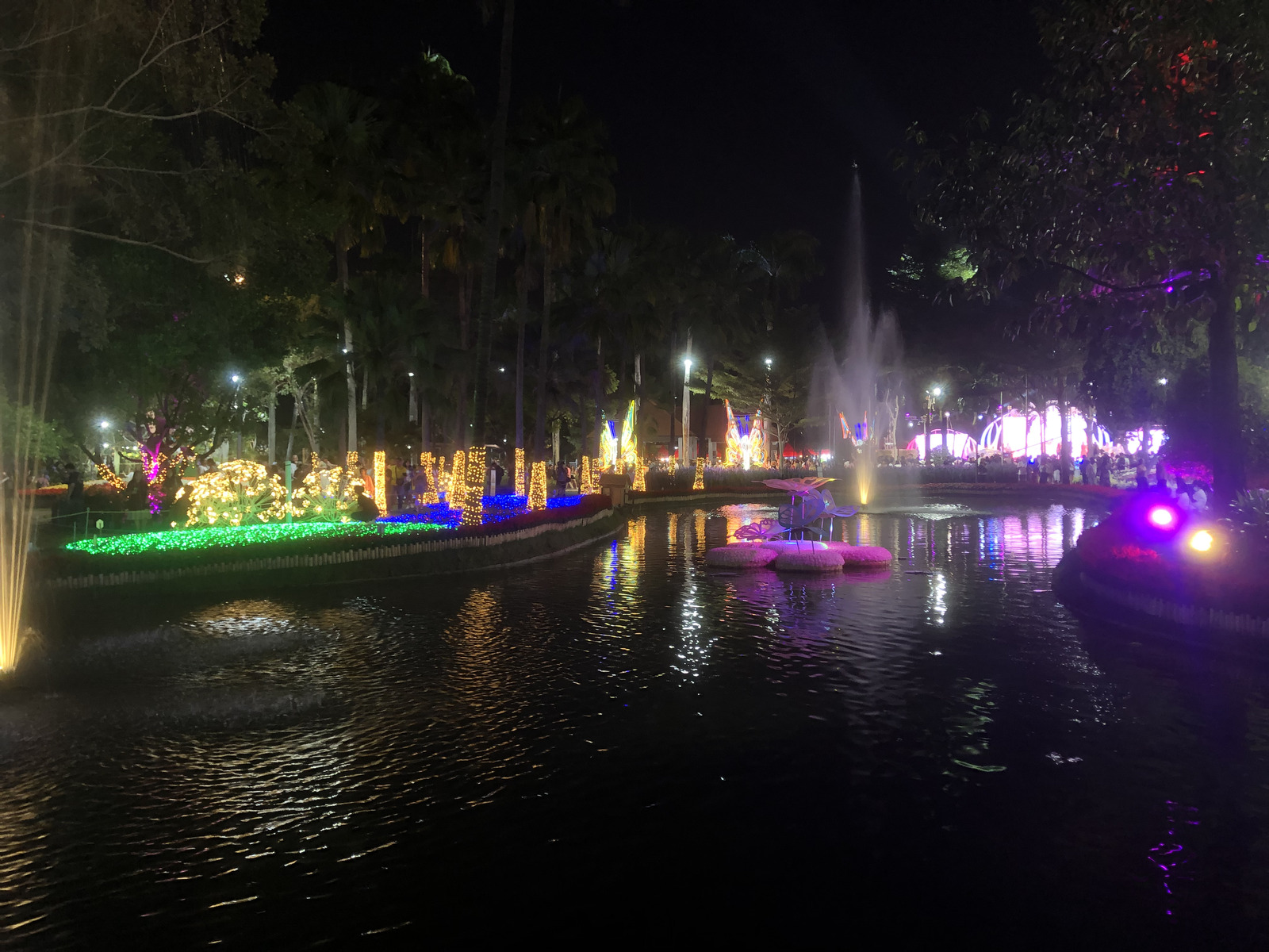 Picture Thailand Chiang Mai Nong Buak Haad Public Park 2024-01 42 - Photos Nong Buak Haad Public Park