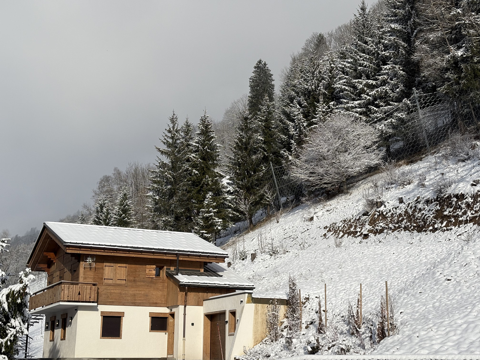 Picture France Praz sur Arly 2025-02 61 - Pictures Praz sur Arly