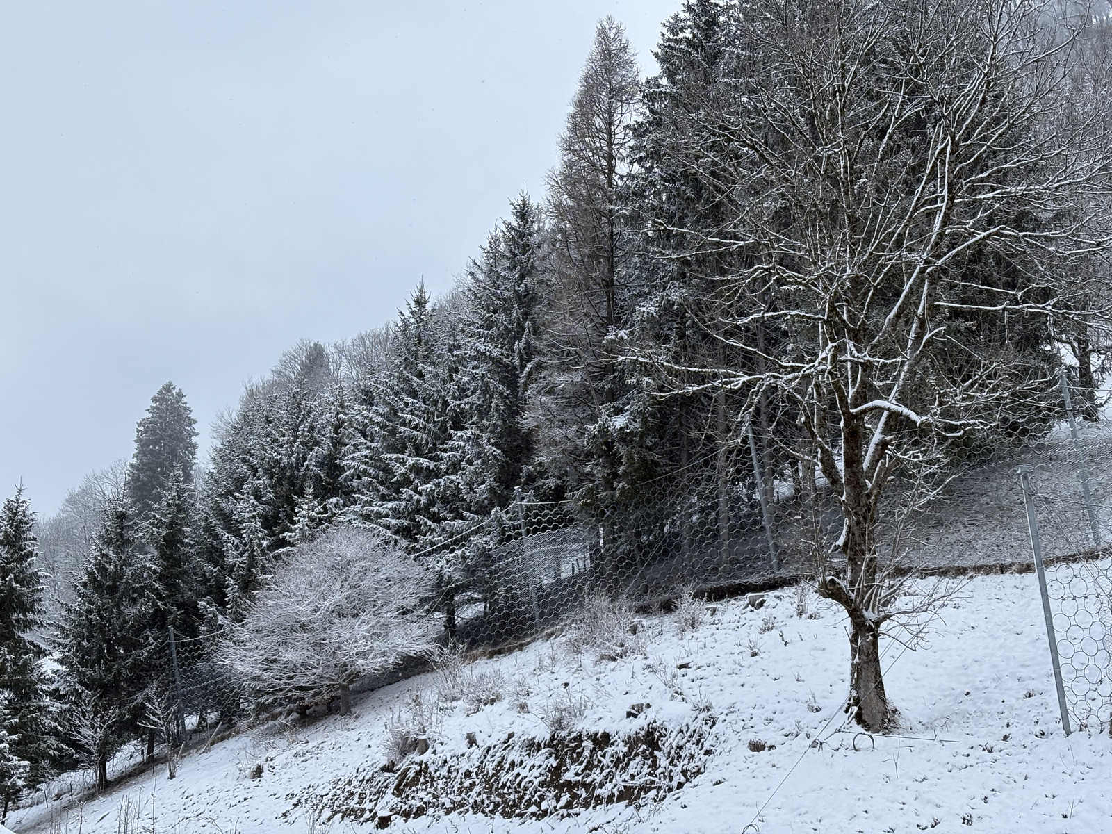 Picture France Praz sur Arly 2025-02 62 - Tourist Attraction Praz sur Arly