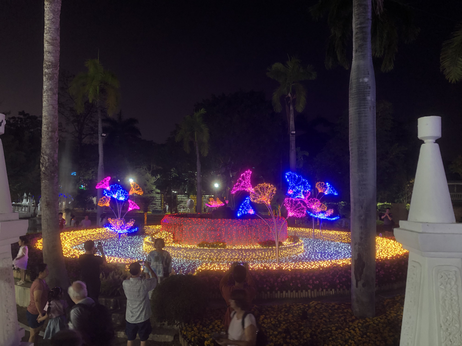 Picture Thailand Chiang Mai Nong Buak Haad Public Park 2024-01 4 - Trip Nong Buak Haad Public Park