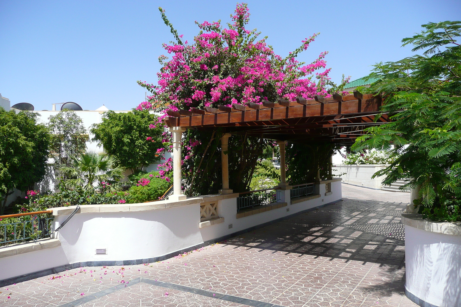Picture Egypt Sharm el Sheikh Hyatt Hotel 2008-06 66 - Car Rental Hyatt Hotel