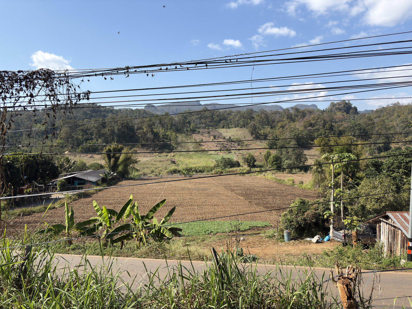Picture Thailand Pang Mapha Perso 2026-01 12 - Trail Pang Mapha Perso