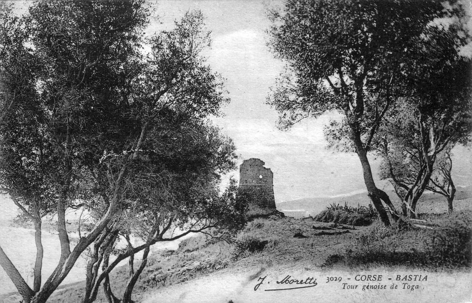 Picture France Corsica Old Postcards bastia 1900-01 175 - View bastia
