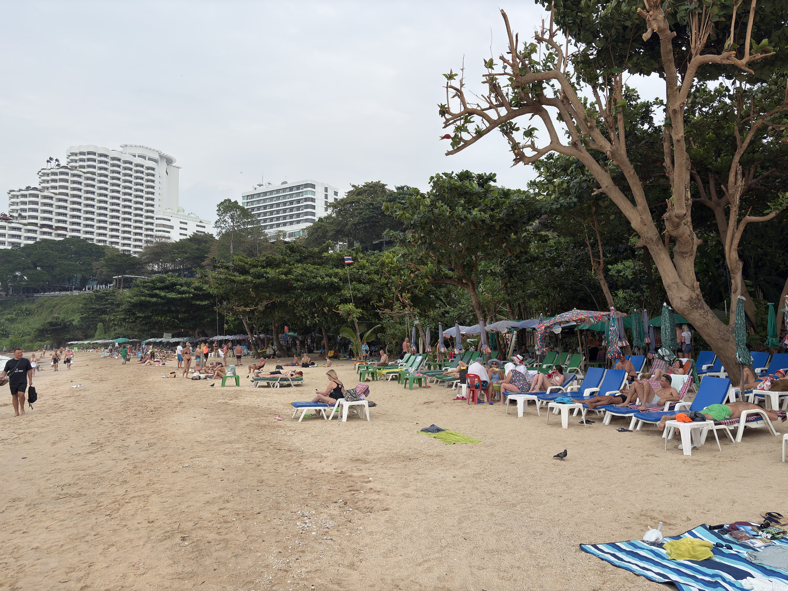 Picture Thailand Pattaya 2025-12 44 - Visit Pattaya