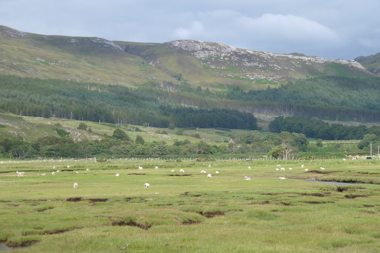 Picture United Kingdom Wester Ross 2011-07 148 - View Wester Ross