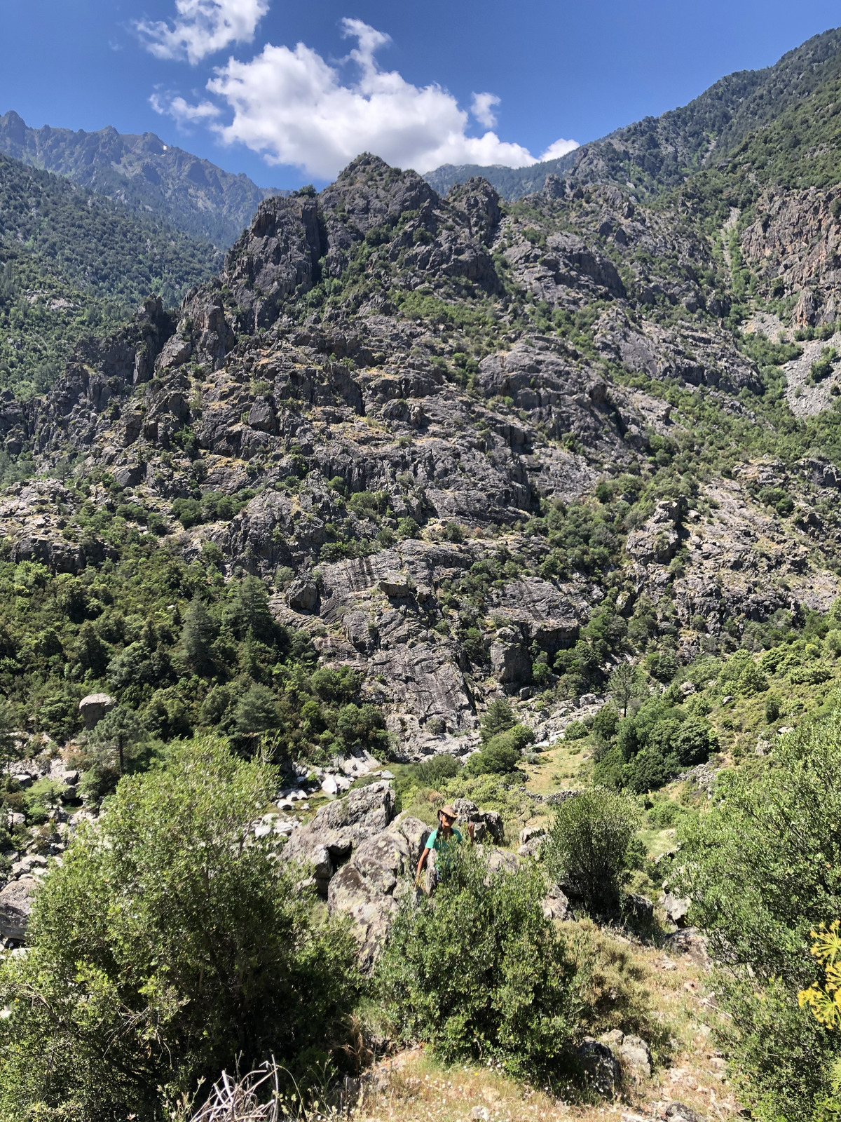 Picture France Corsica Aitone Forest 2021-06 60 - Map Aitone Forest