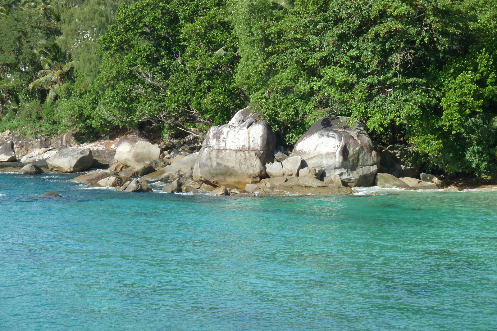 Picture Seychelles Mahe 2011-10 59 - Car Mahe