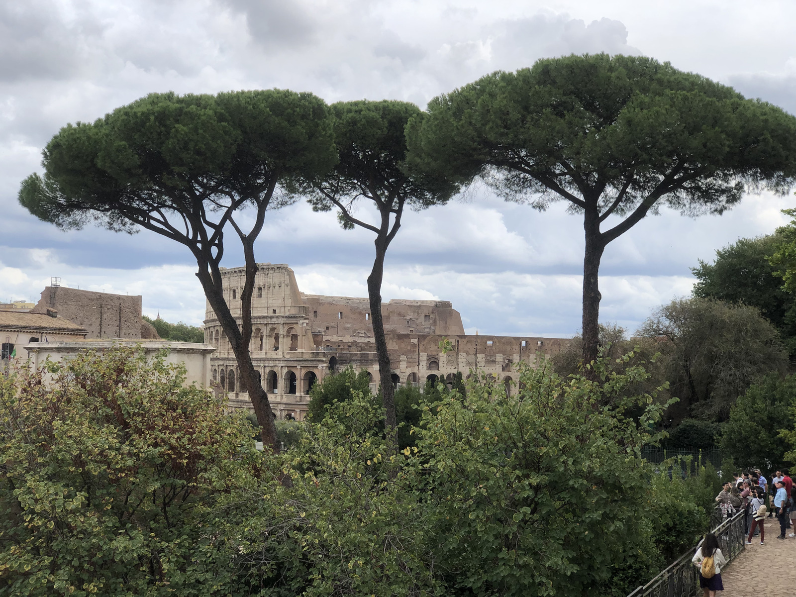 Picture Italy Rome Roman Forum 2024-09 81 - Views Roman Forum
