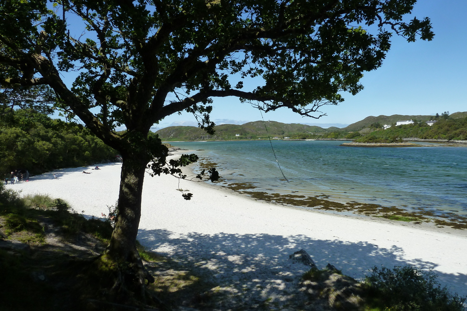 Picture United Kingdom Scotland 2011-07 169 - Discover Scotland