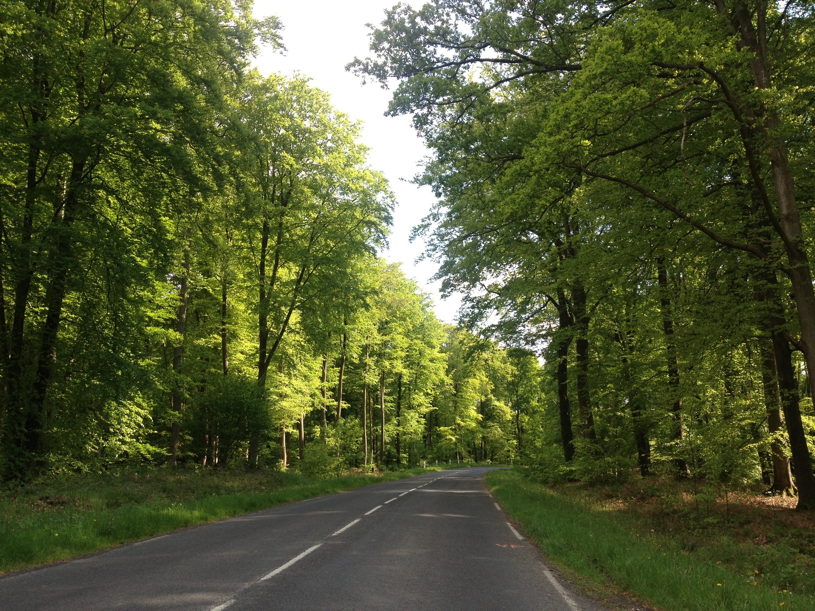 Picture France Lyons La Foret 2014-05 88 - Car Lyons La Foret