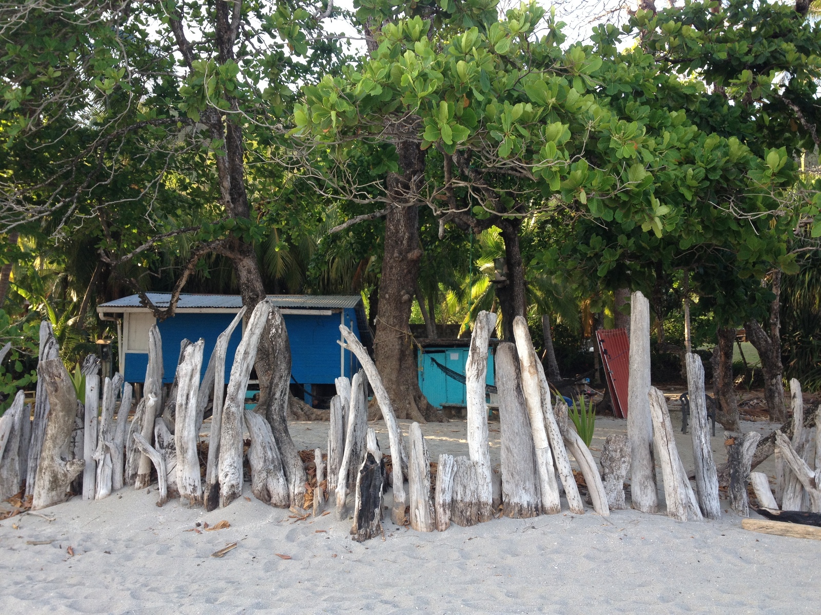 Photos Montezuma - Picture Costa Rica Montezuma 2015-03 104 Picture Costa Rica Montezuma 2015-03 104 - Photos Montezuma