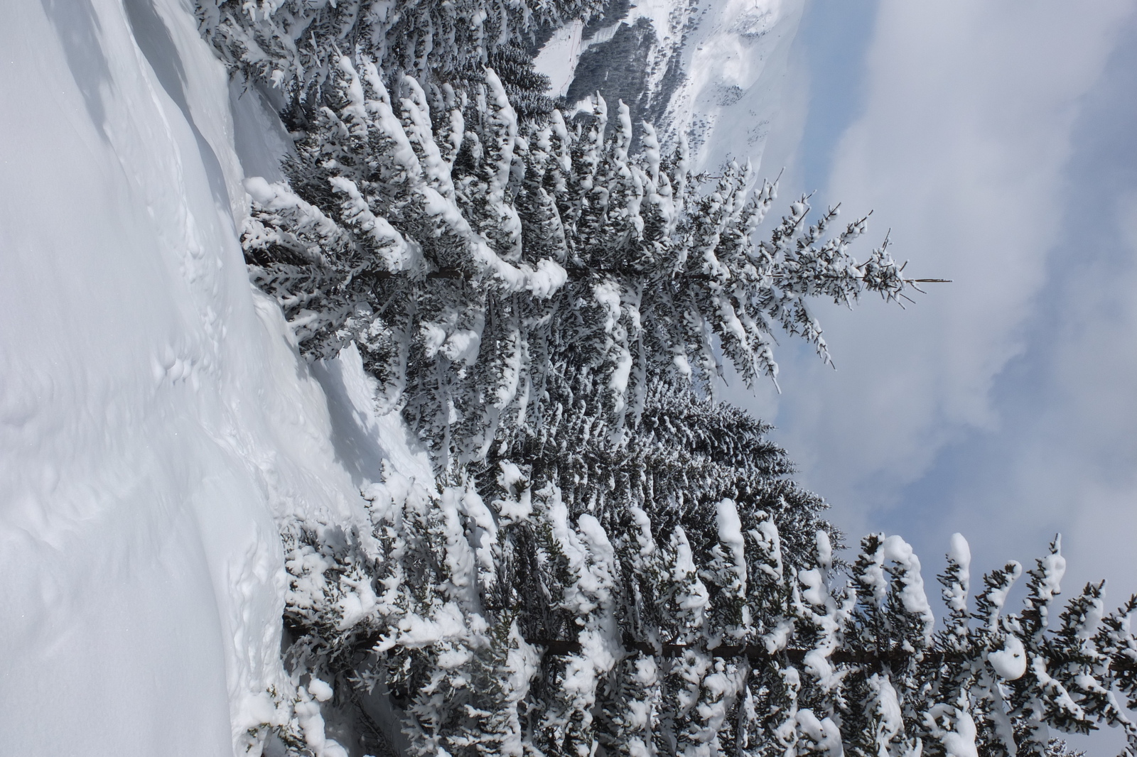 Picture France Les 3 Vallees 2013-03 308 - Tourist Places Les 3 Vallees