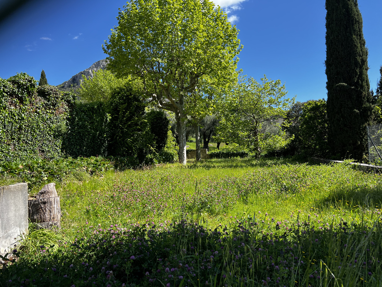 Picture France Vence 2024-04 29 - Car Rental Vence