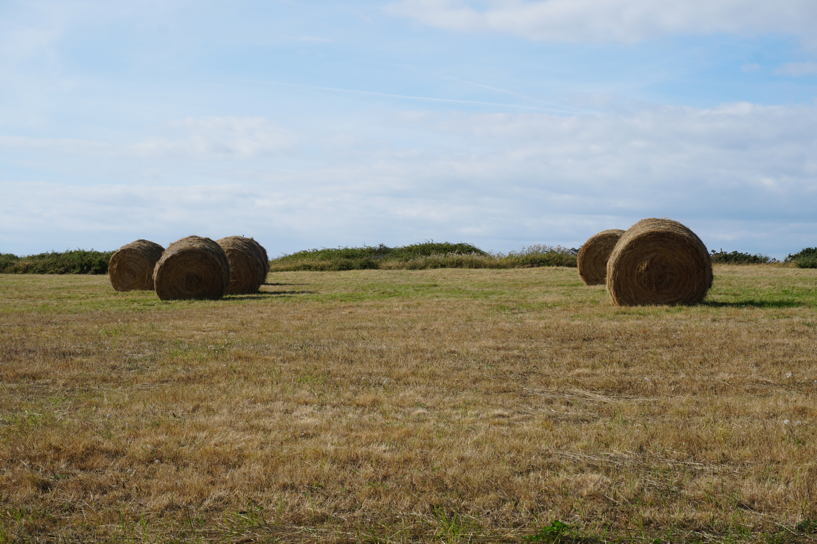 Picture France Belle-Ile 2016-08 219 - Picture Belle-Ile