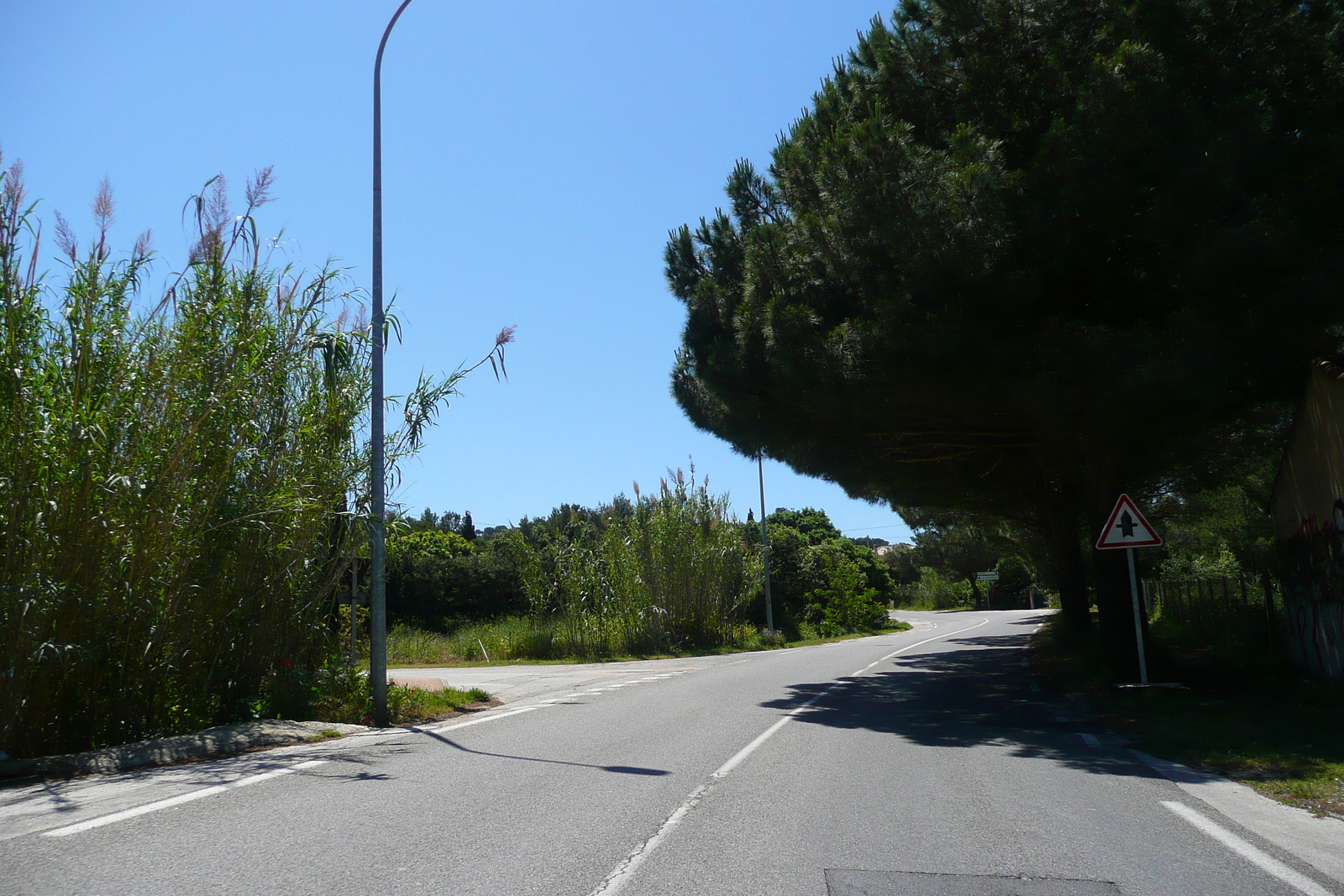 Picture France French Riviera Hyeres peninsula 2008-05 11 - Road Hyeres peninsula