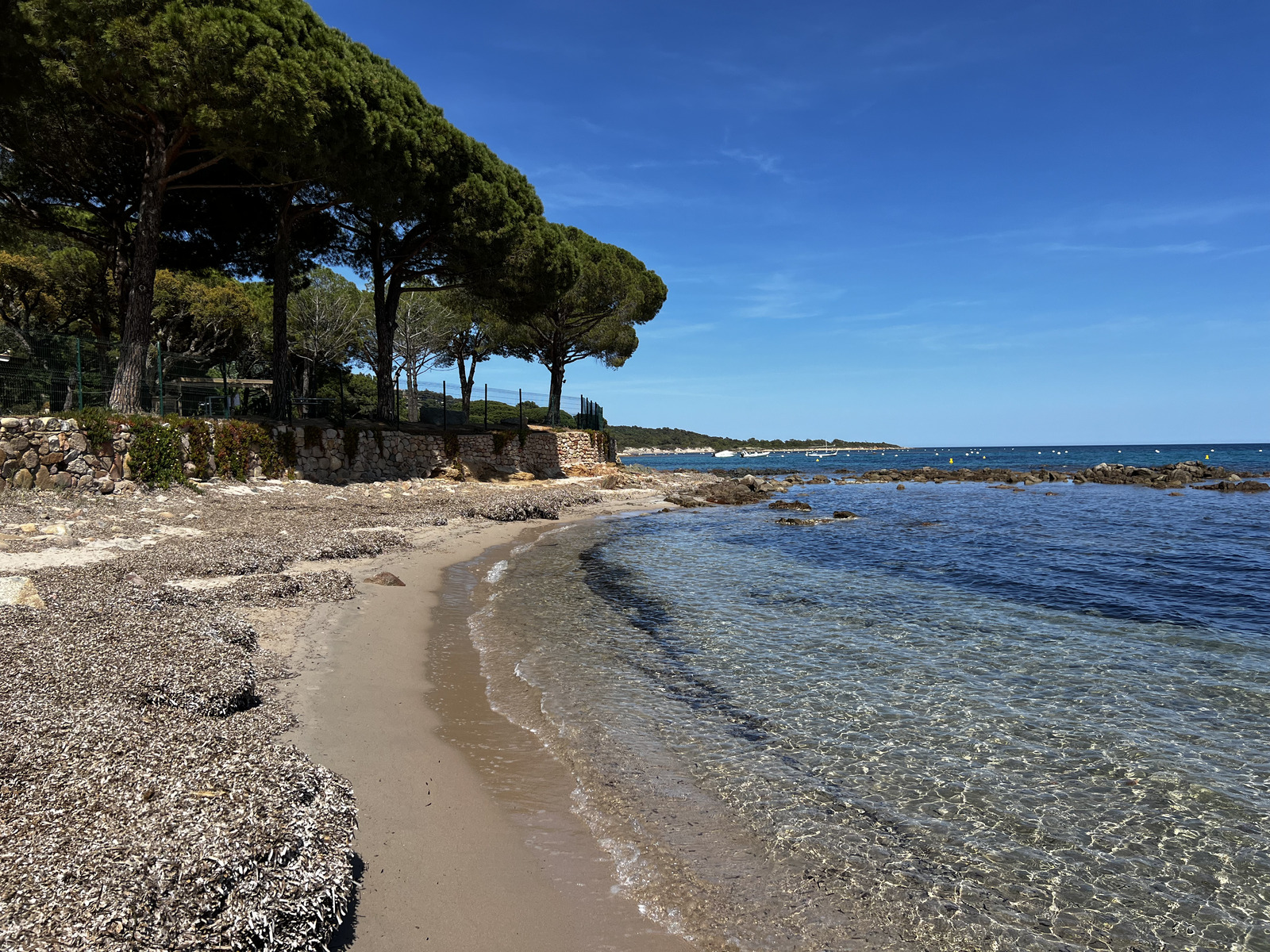 Picture France Corsica Pinarellu Beach 2024-05 37 - Picture Pinarellu Beach