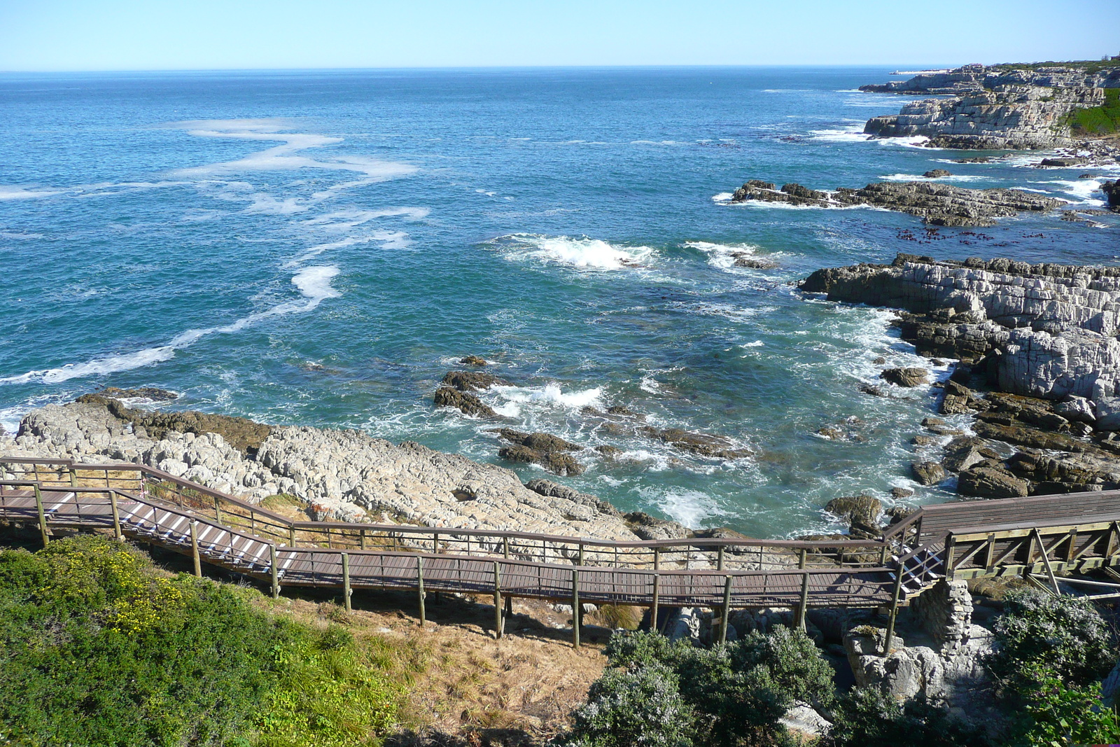 Picture South Africa Harmanus 2008-09 245 - Photographers Harmanus