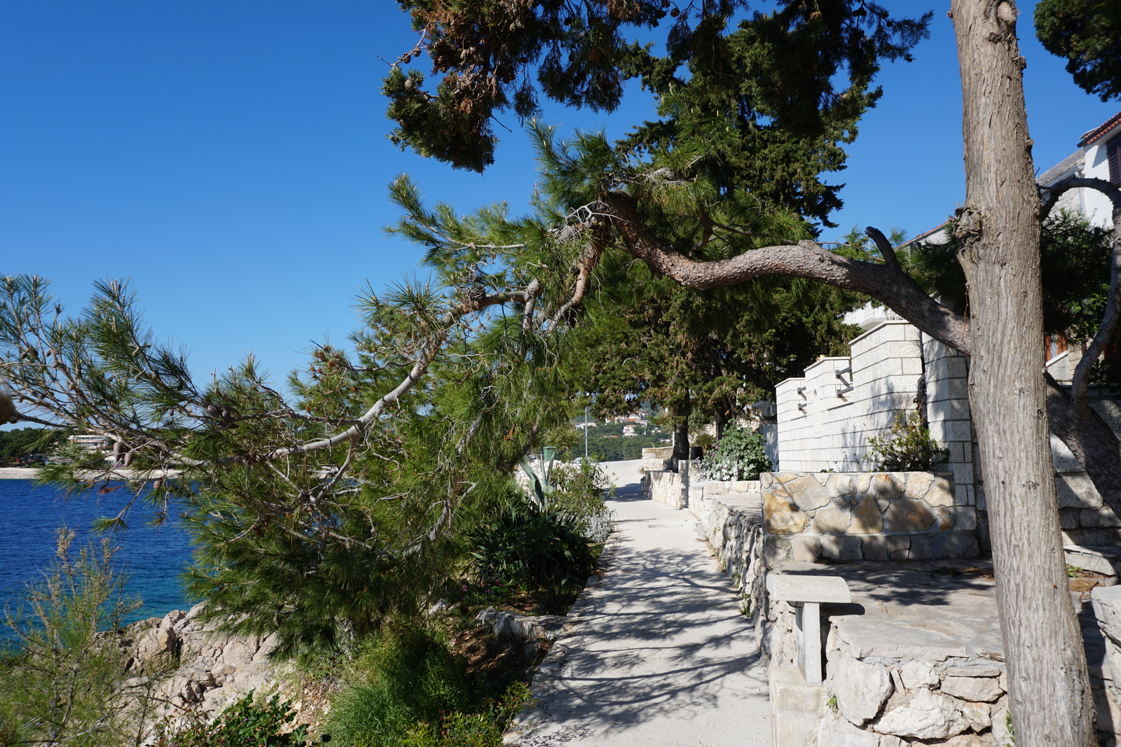 Picture Croatia Primosten 2016-04 25 - Trip Primosten