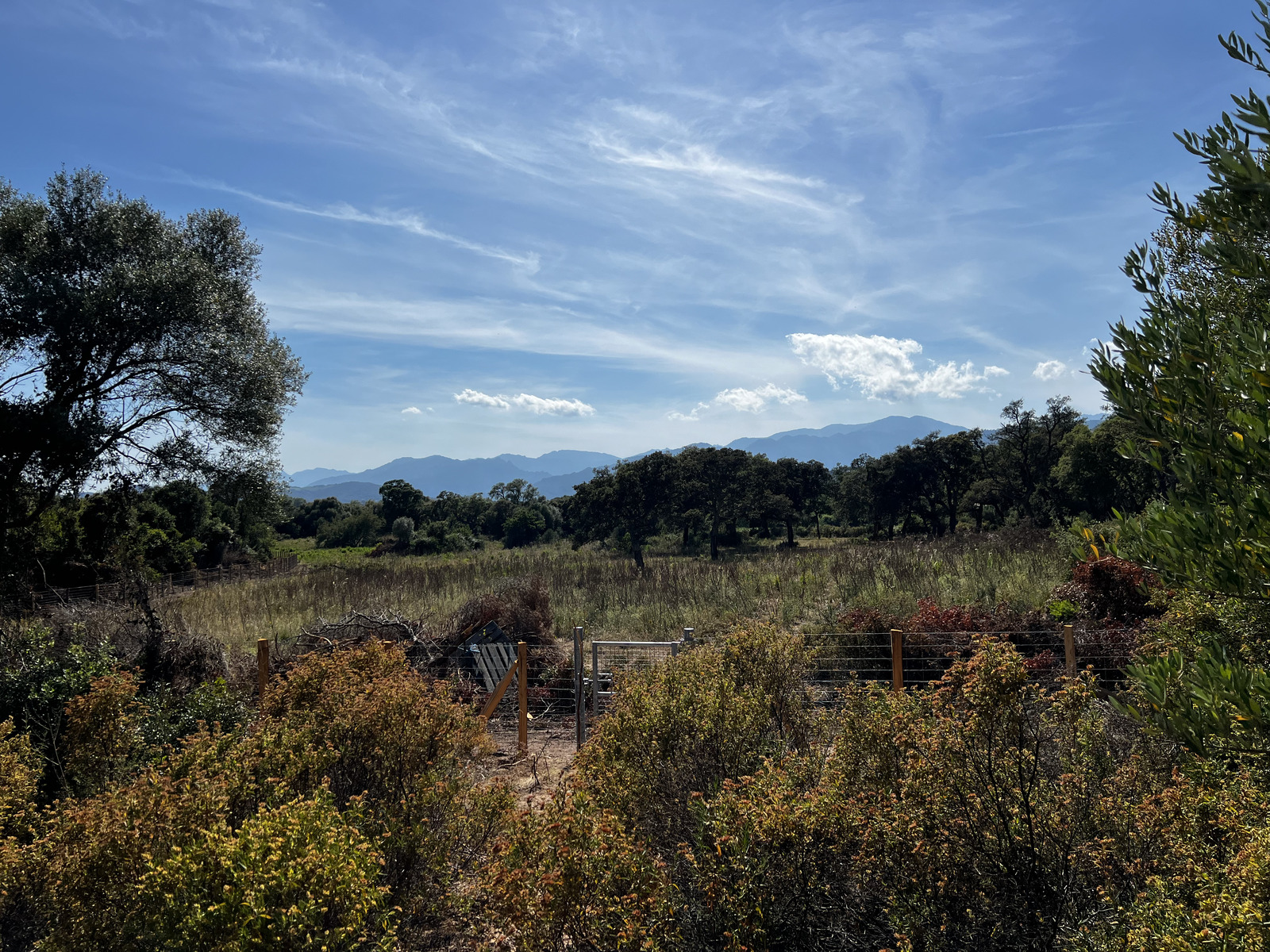 Picture France Corsica Ovu Santu Beach⁩ 2024-05 9 - Sightseeing Ovu Santu Beach⁩