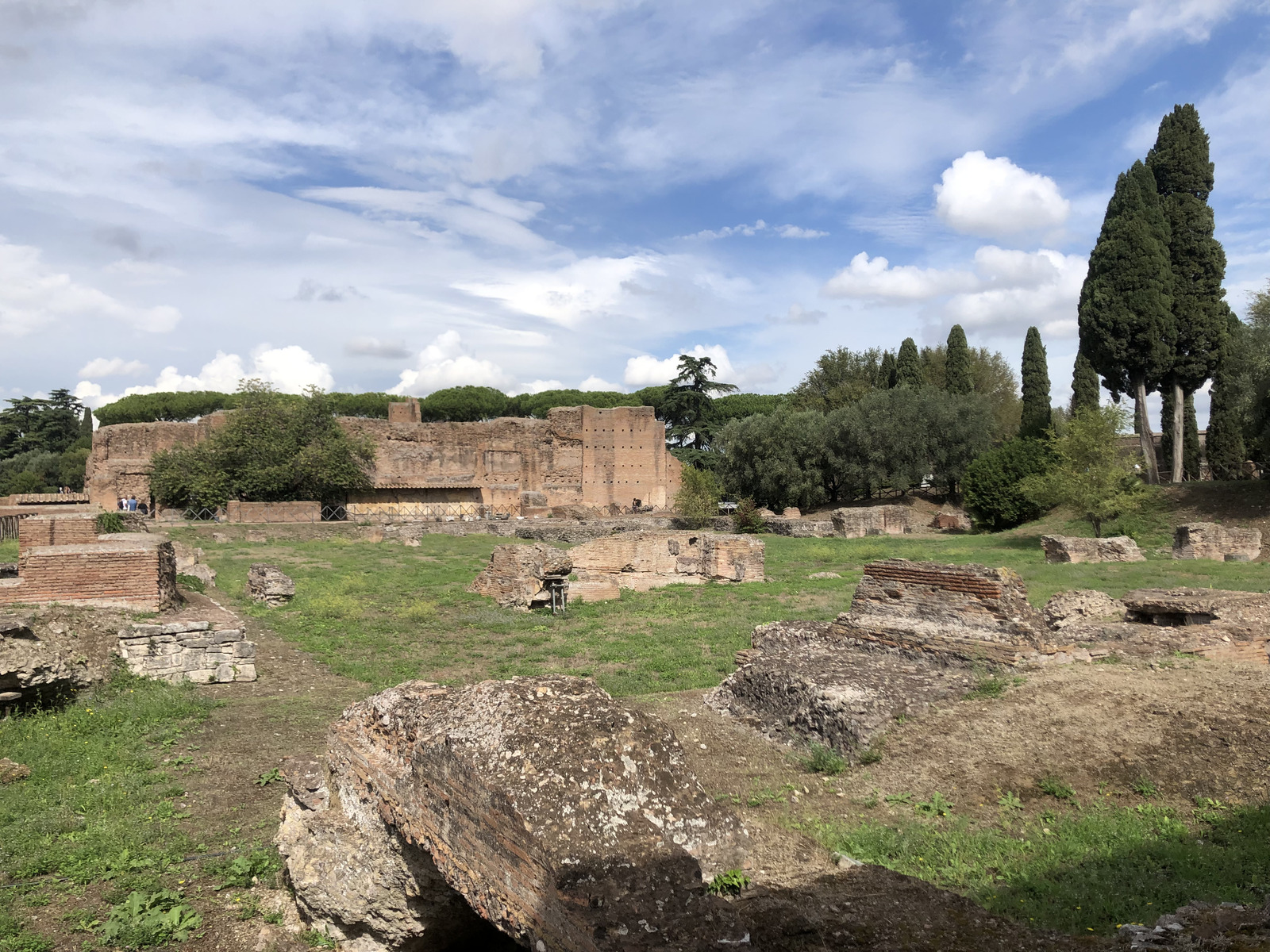Picture Italy Rome Roman Forum 2024-09 180 - Road Roman Forum