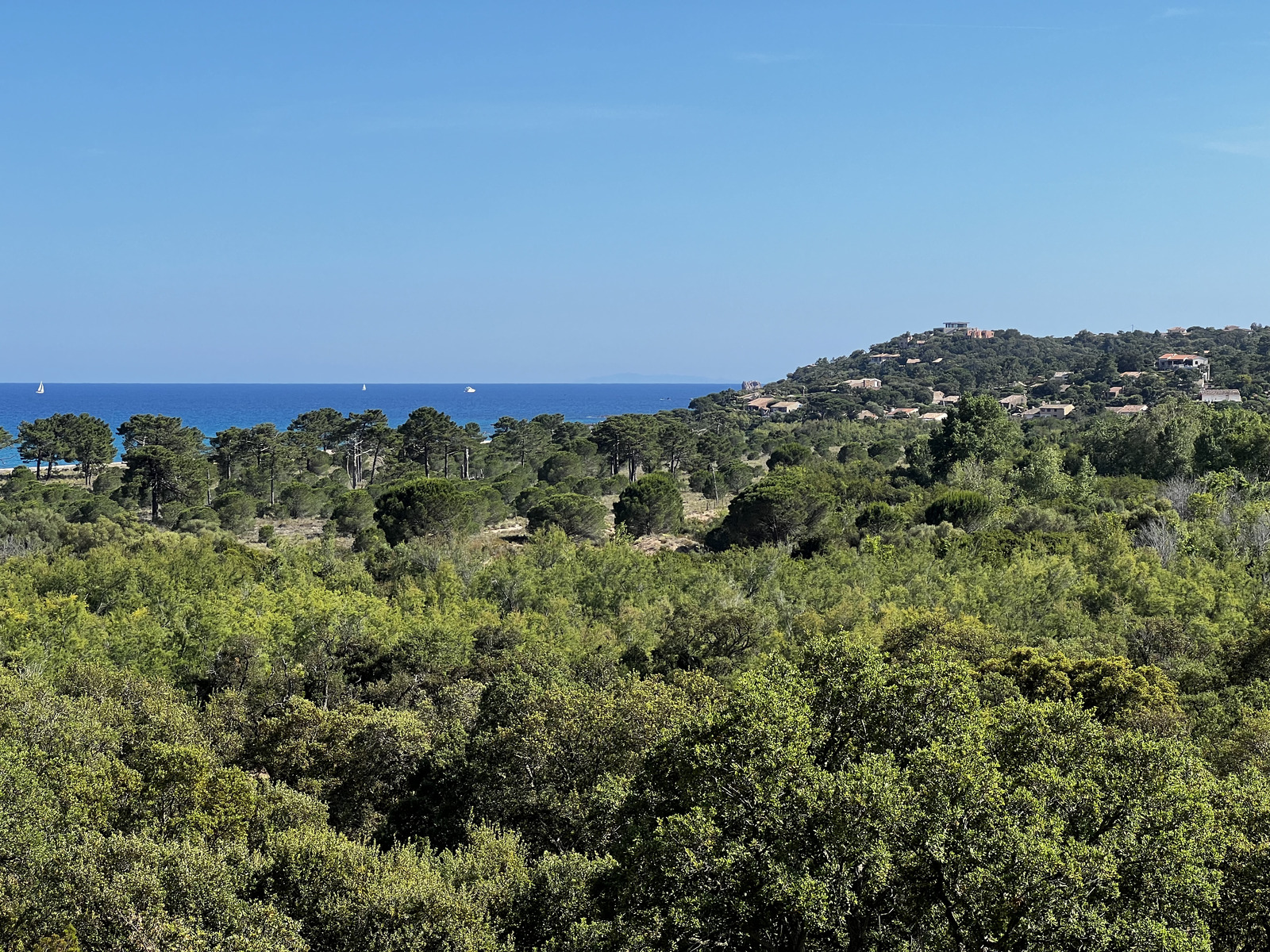 Picture France Corsica Ovu Santu Beach⁩ 2024-05 2 - Sight Ovu Santu Beach⁩