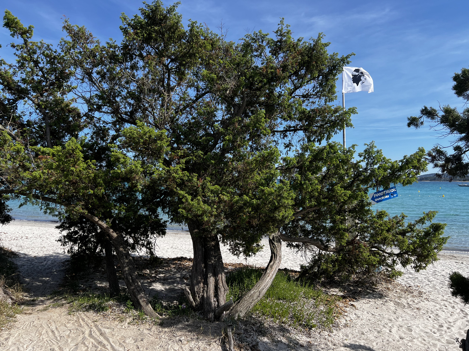 Picture France Corsica San Cyprien Bay 2024-05 9 - Sight San Cyprien Bay