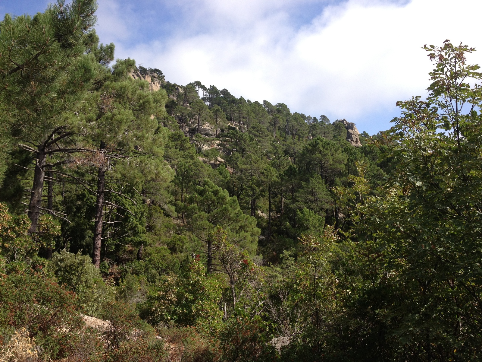 Picture France Corsica L'ospedale Forest 2012-09 15 - Visit L'ospedale Forest