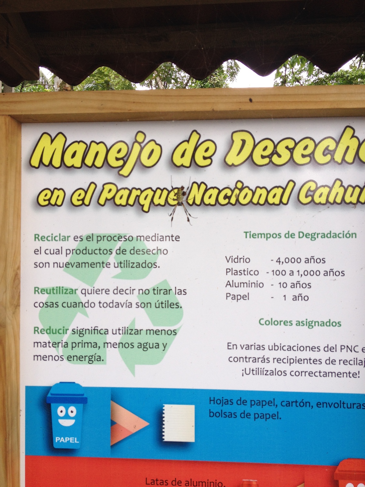 Picture Costa Rica Cahuita 2015-03 203 - Visit Cahuita