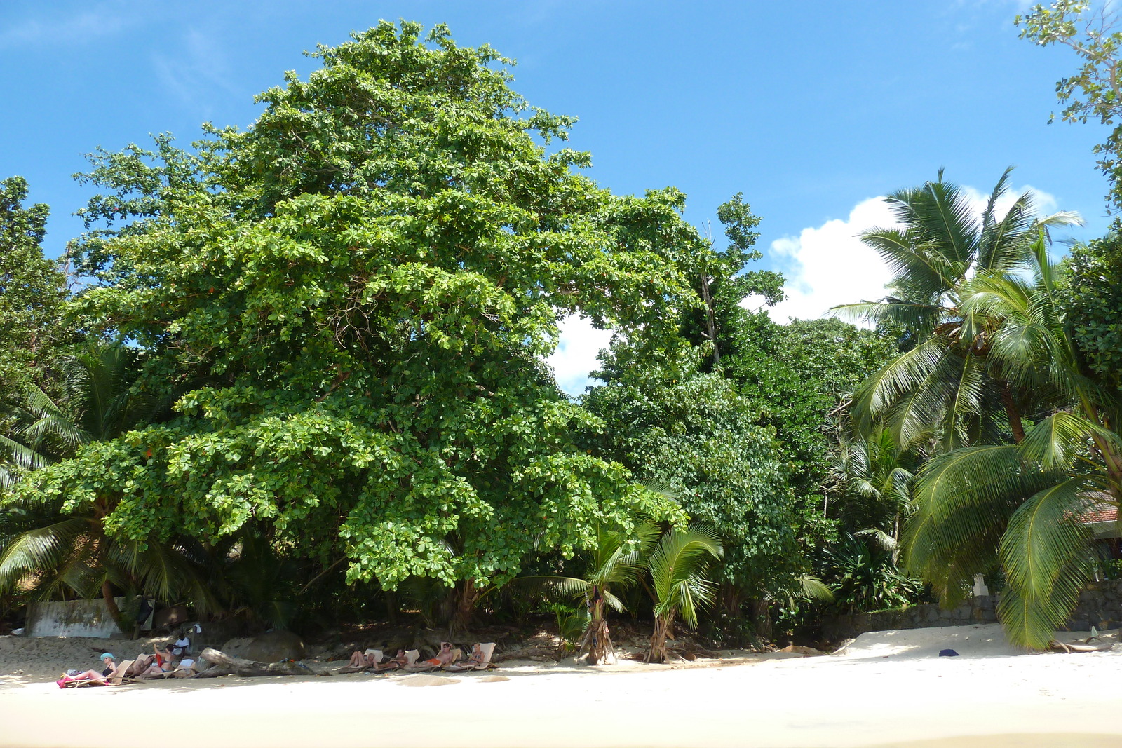 Picture Seychelles Mahe 2011-10 70 - Map Mahe