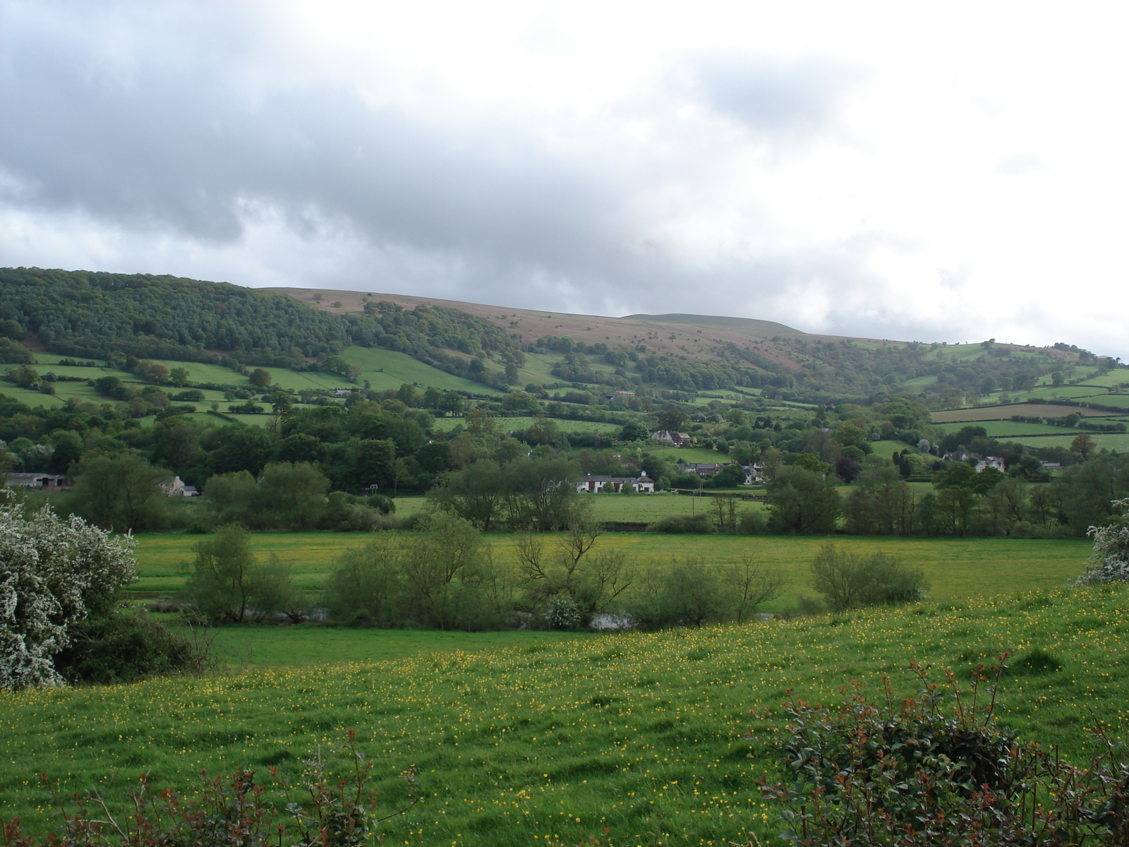 Picture United Kingdom Brecon Beacons National Parc 2006-05 105 - Photographer Brecon Beacons National Parc