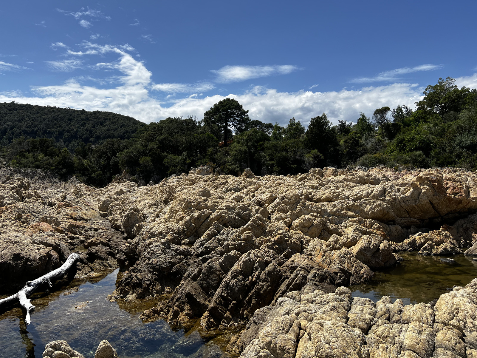 Picture France Corsica Canella Beach 2024-05 9 - Road Canella Beach