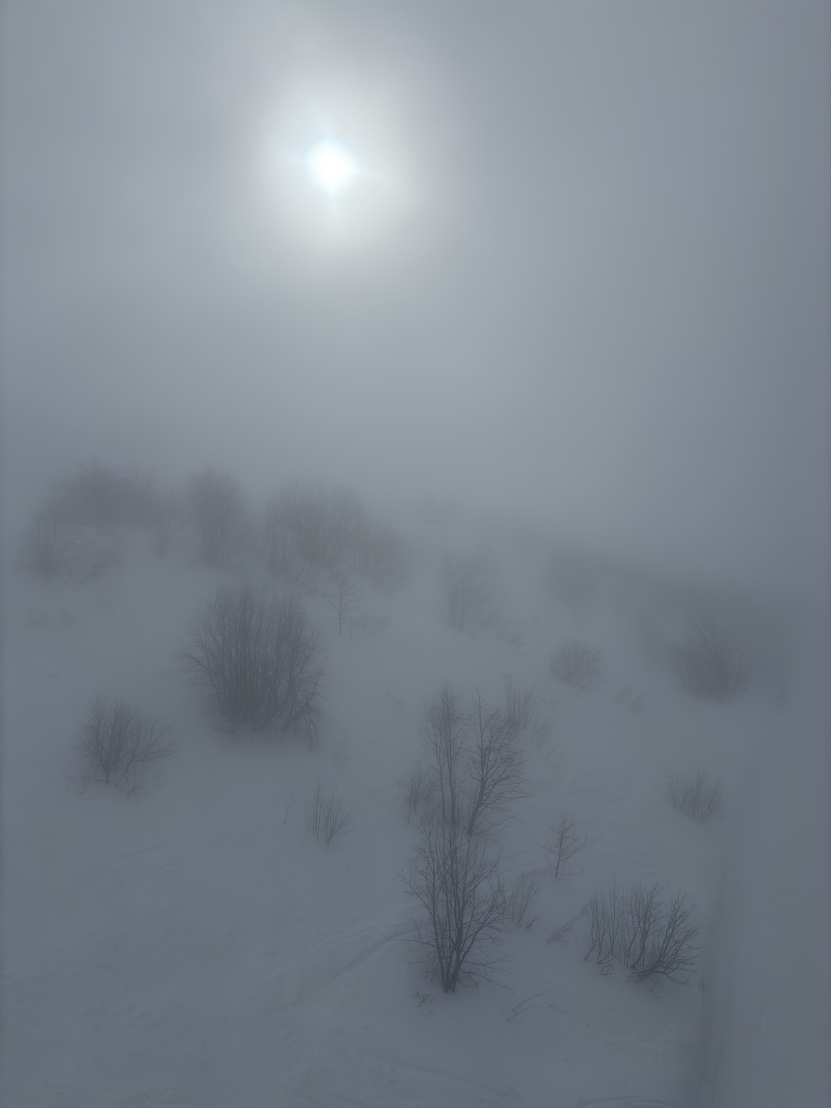 Picture France Praz sur Arly 2025-02 42 - Trail Praz sur Arly