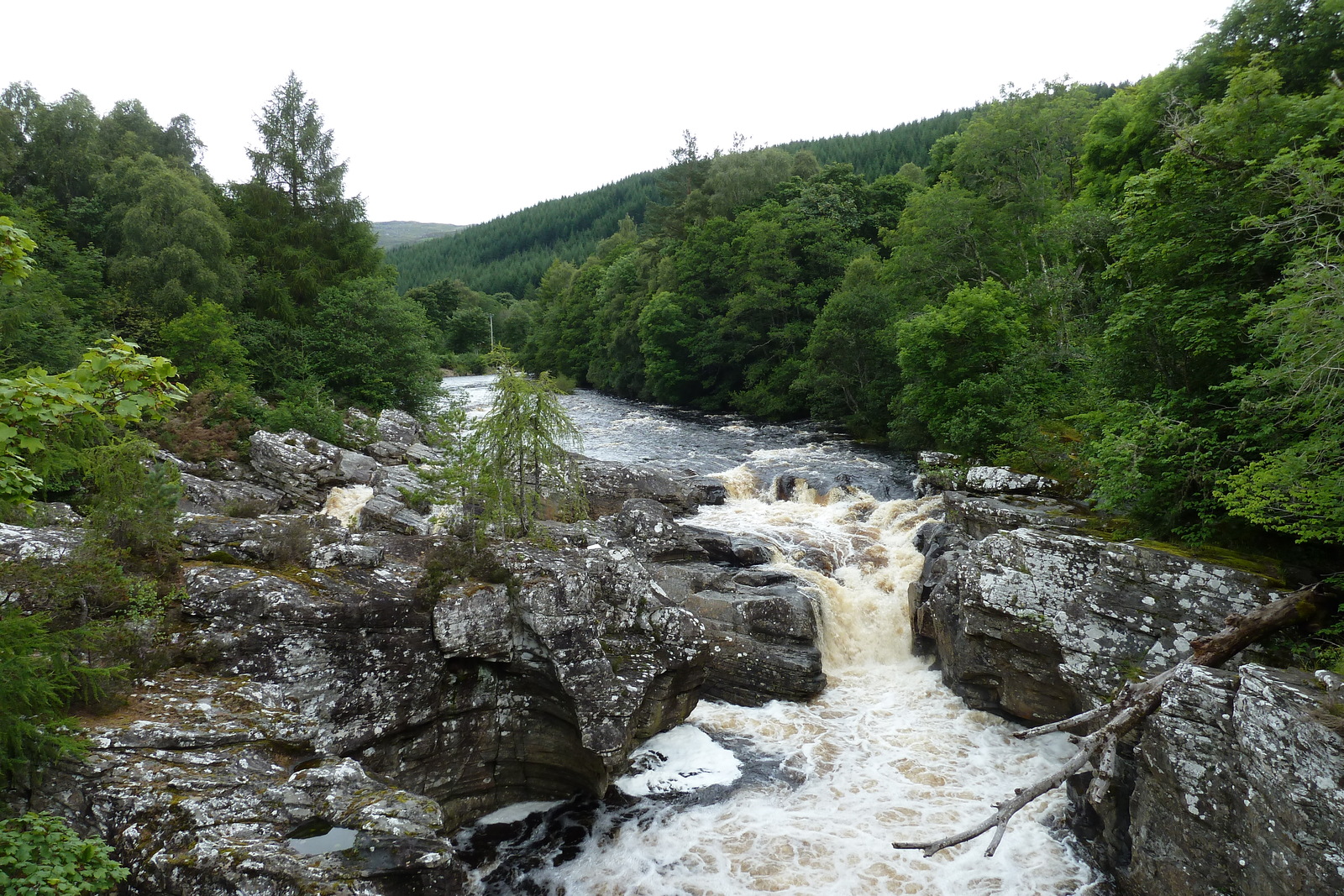 Picture United Kingdom Scotland 2011-07 229 - Photographer Scotland