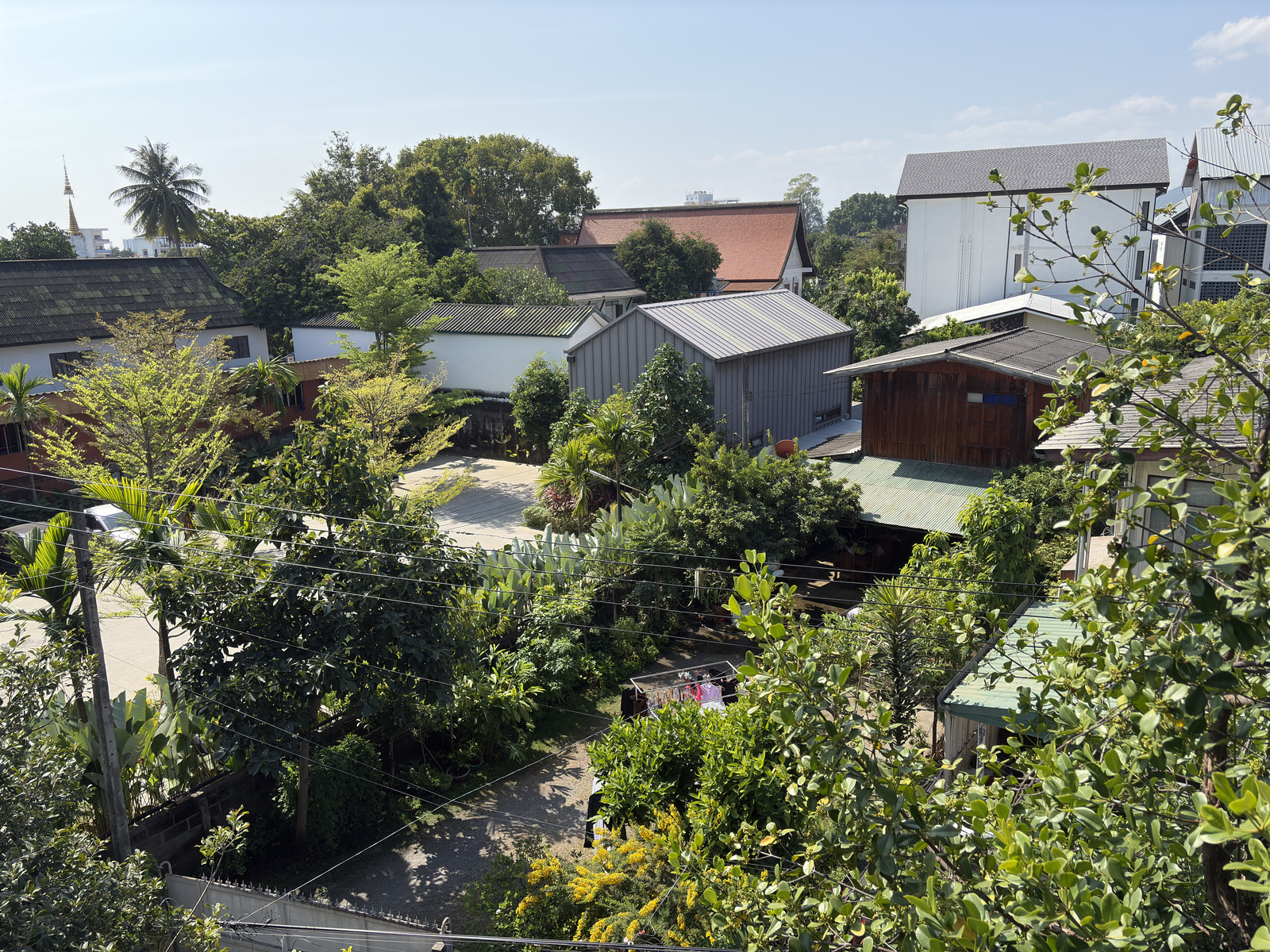 Picture Thailand Chiang Mai Kalm 2024-12 67 - Pictures Kalm