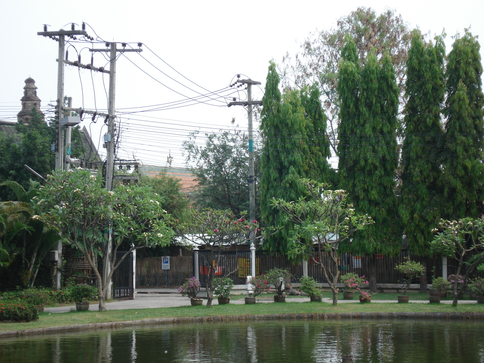 Picture Thailand Chiang Mai Inside Canal Buak Had Park 2006-04 19 - Trip Buak Had Park