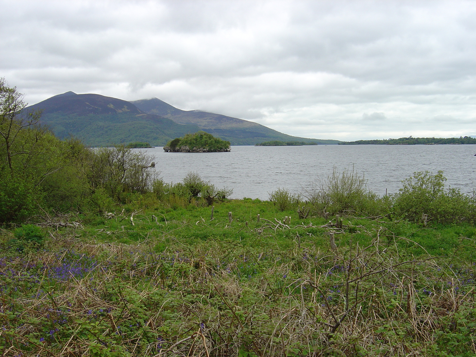 Picture Ireland Kerry Killarney National Park Muckross Lake 2004-05 21 - Road Muckross Lake