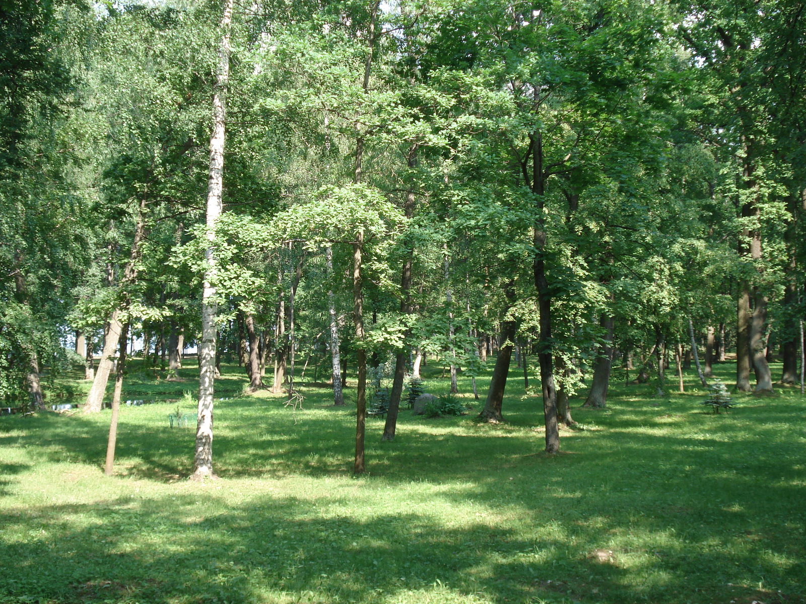 Picture Russia Petrodvorets 2006-07 34 - Tourist Places Petrodvorets