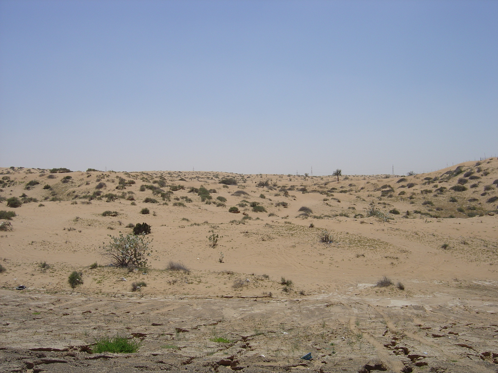 Picture United Arab Emirates Road near Ajman 2005-03 3 - Sightseeing Road near Ajman