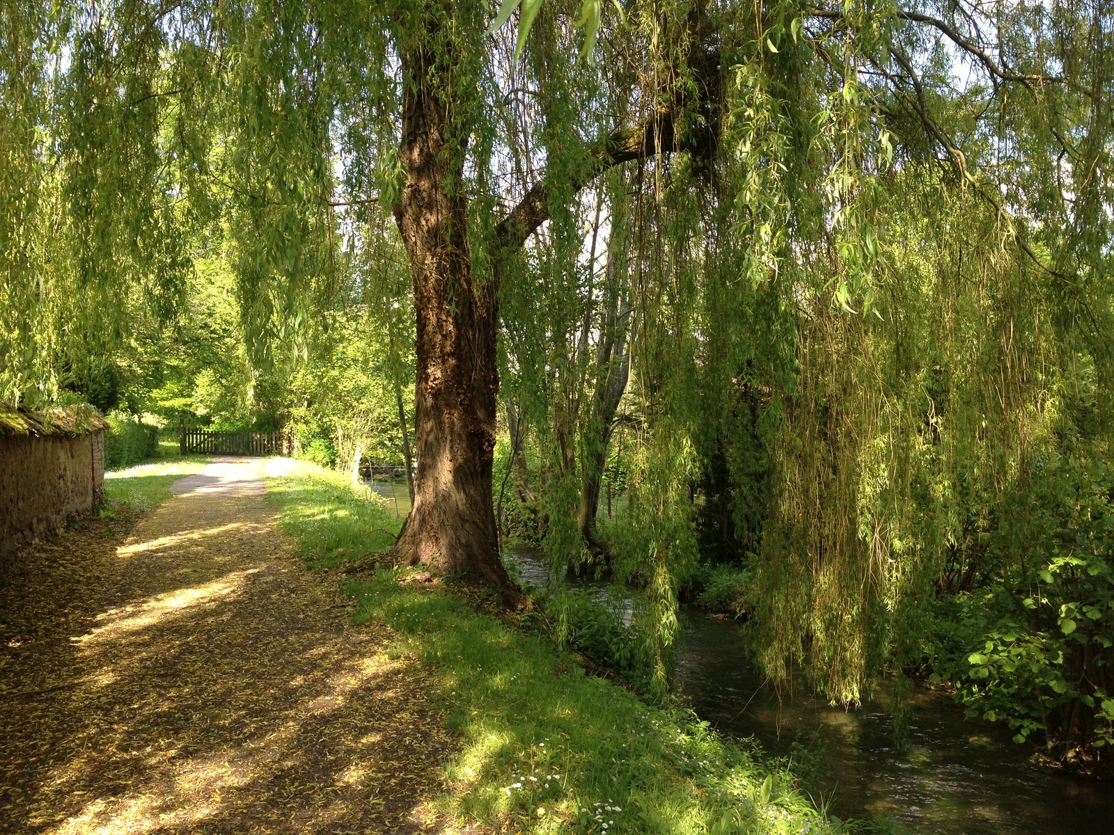 Picture France Lyons La Foret 2014-05 46 - Photographers Lyons La Foret