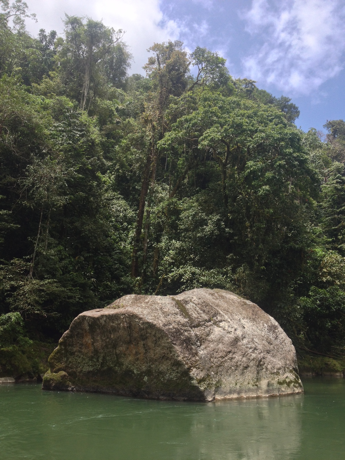 Picture Costa Rica Pacuare River 2015-03 146 - Perspective Pacuare River