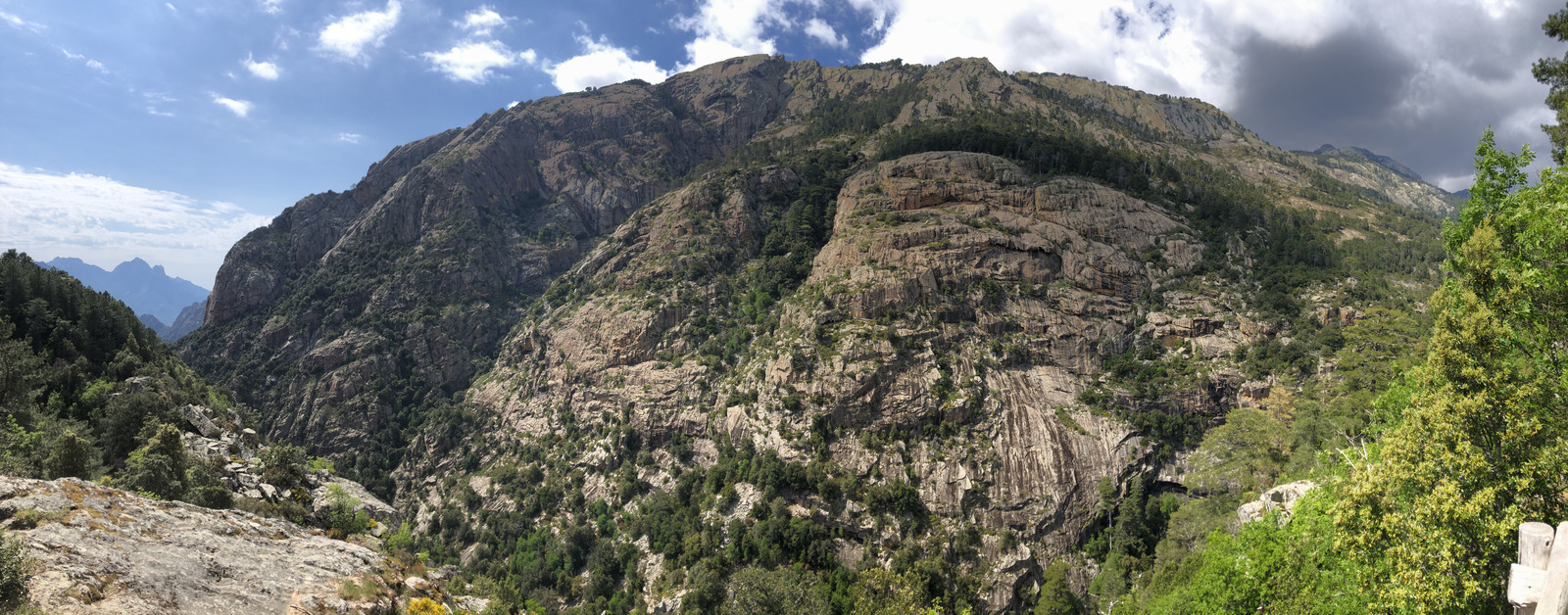 Picture France Corsica Aitone Forest 2021-06 56 - Flight Aitone Forest