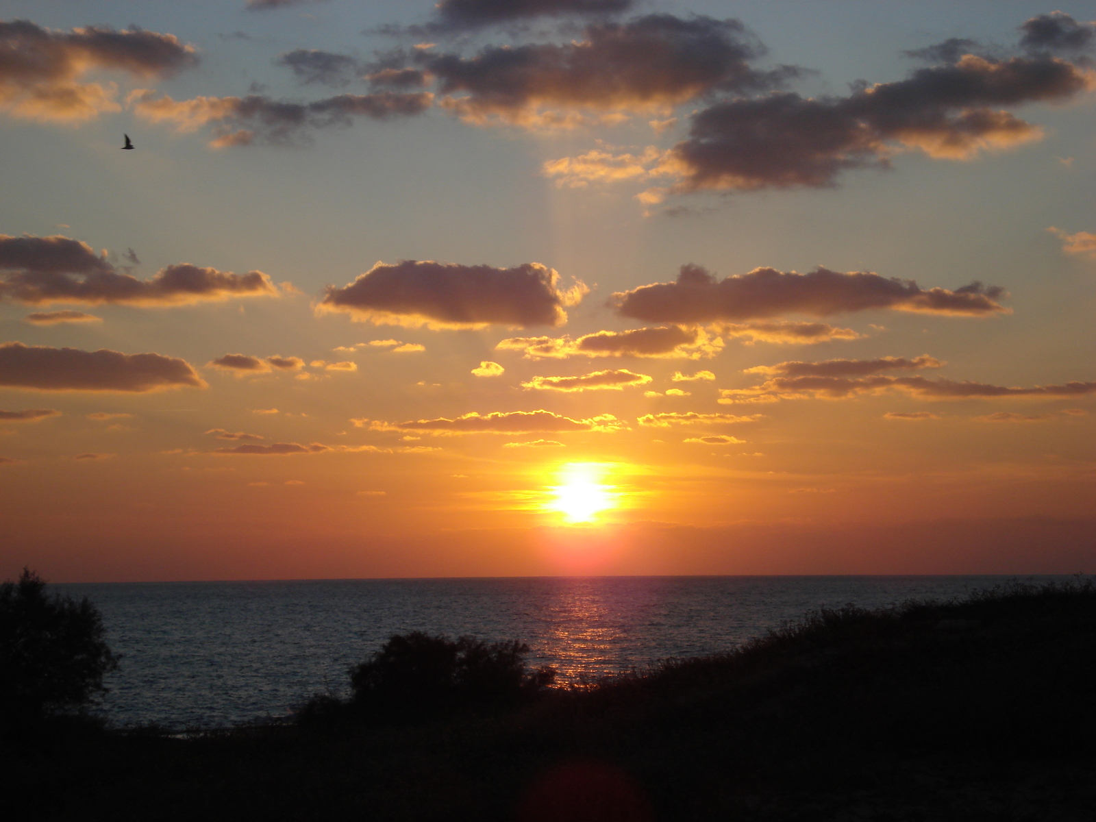 Picture Israel From Haifa to Tel Aviv 2006-12 56 - Photographers From Haifa to Tel Aviv